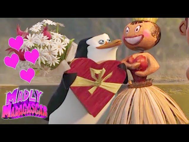 Madly Madagascar #4 ️Madagascar Valentines Day Special ️Madagascar DVD ️Kids Movies