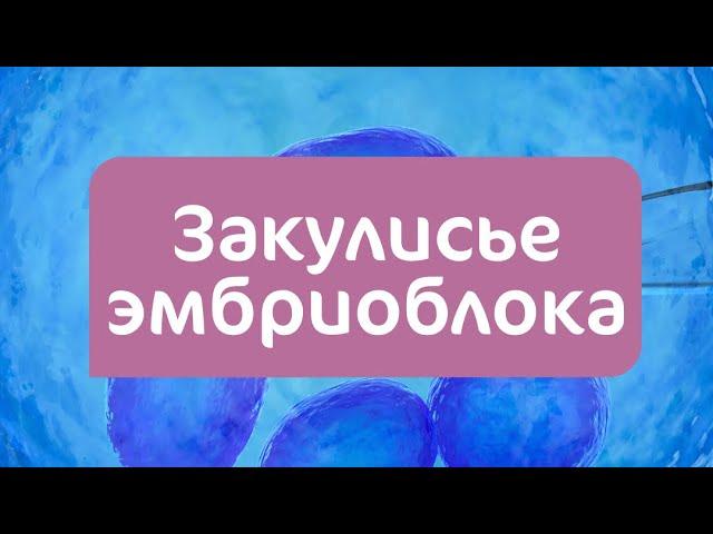 Закулисье эмбриоблока клиники «Мать и дитя Казань»
