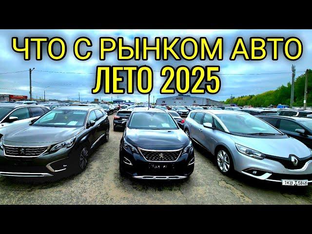 Рынок Малиновка начал ДВИЖЕНИЕ по Ценам