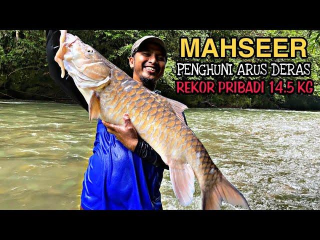 SENSASI CASTING MAHSEER !!! SUNGAI HULU PENGHUNI ARUS DERAS PEDALAMAN KALIMANTAN