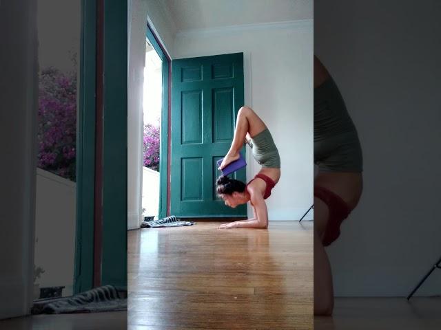 Alyssa Mei Liu Contortion