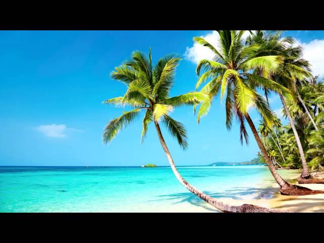 Beach Party Music | Tropical Mexican Beach | Relax, Work, Study & Ambience