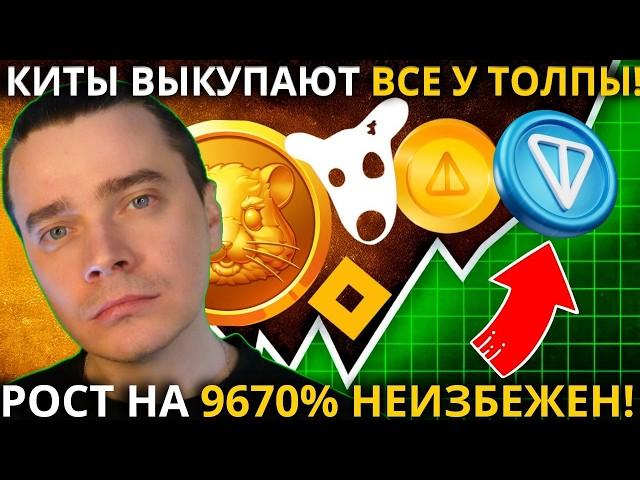 ️ГОТОВЬСЯ! ЭТИХ ЦЕН БОЛЬШЕ НЕ БУДЕТ! 🟢 TONCOIN ,DOGS, NOTCOIN, HMSTR, MAJOR ️ ЭТОТ ПАМП НЕИЗБЕЖЕН!