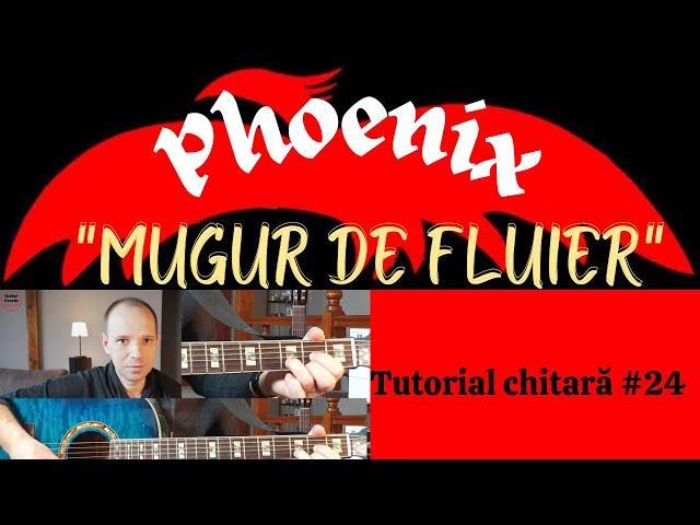 Mugur de fluier (Phoenix) | Tutorial chitara #24