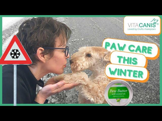 HOW TO CARE FOR YOUR DOGS PAWS IN WINTER - PAW CARE THE NATURAL WAY