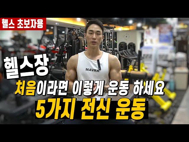 헬스장 처음이라면 이렇게 운동 해보세요ㅣ헬스(헬린이) 초보자를 위한 5가지 전신운동루틴(가슴/등/하체/어깨)