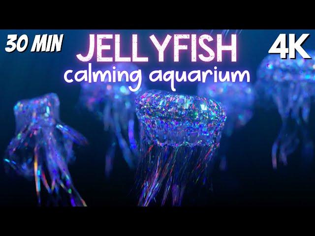 Autism Sleep Music Calming Diamond Jellyfish Aquarium Soothing Sleep Remedy