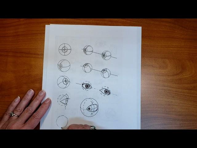 Loomis eyeballs