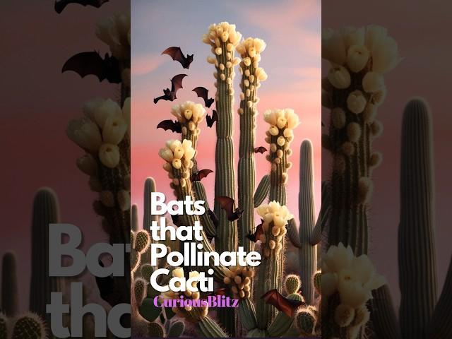 Bats That Keep Cacti Alive: Nature’s Nighttime Pollinators! 