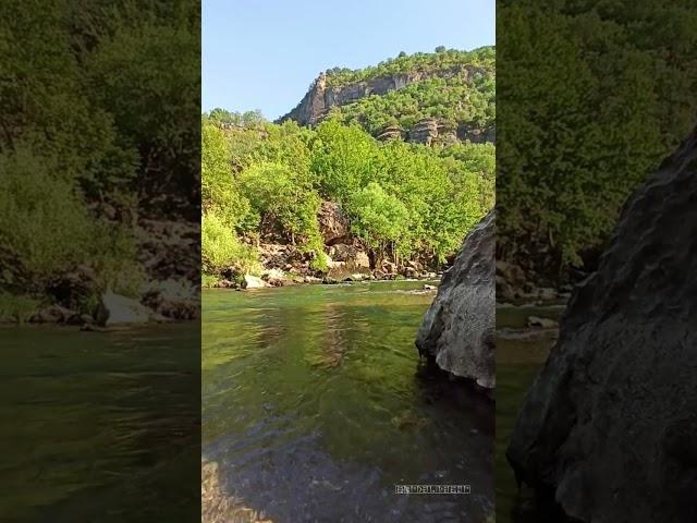 Gelîyê Godernê, Amed Kurdistan (Serdal Pasur)