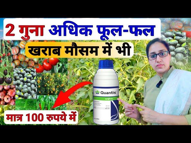 Syngenta Quantis | quantis syngenta uses in hindi | plant growth tonic | humic acid | Quantis | pgp