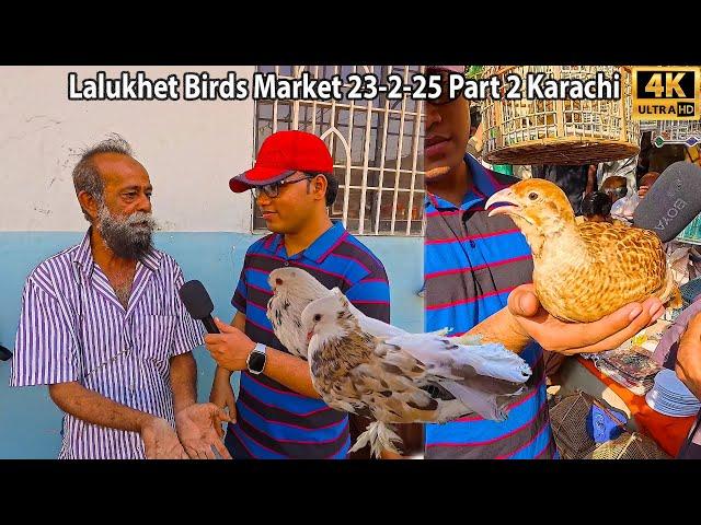 Lalukhet Birds Market 23-2-25 Karachi Part 2 Latest Updates | برڈز مارکیٹ میں کچھ پرندوں کے پرائز کم