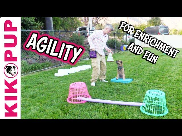 Agility for Enrichment and Fun - Dog Training