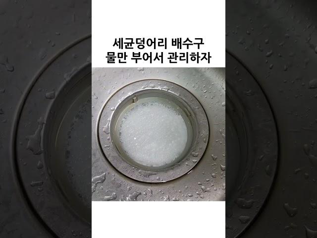 겨울에도 배수구에는 드글드글한 세균들... #shorts