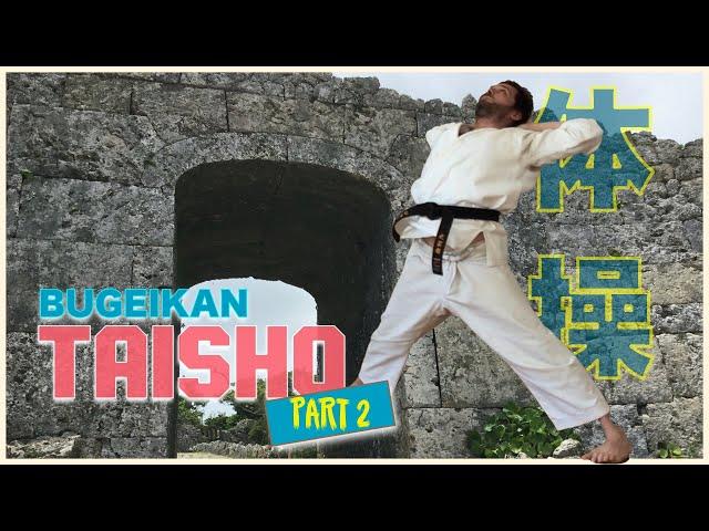 Bugeikan Taisho Part 2:: yoga for martial arts