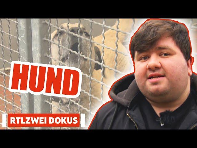 Unerfahren in die Hundewelt! | Armes Deutschland | RTLZWEI Dokus #armesdeutschland #94