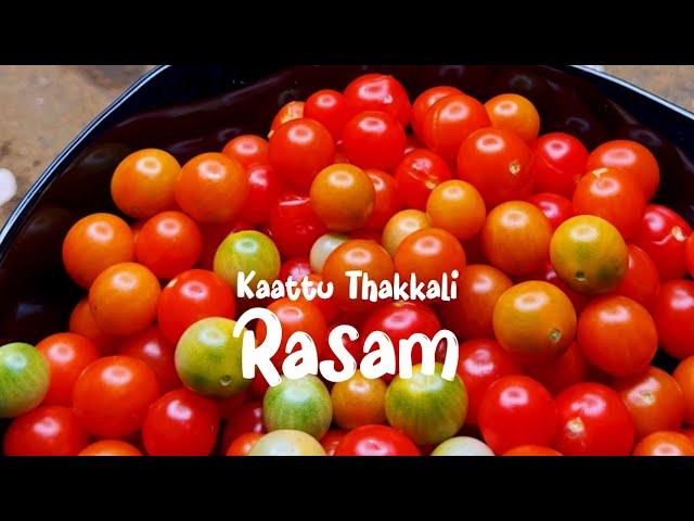 കാട്ടുതക്കാളി പച്ചക്കുരുമുളകു രസം | Wild cherry tomato Rasam Recipe | Sarang Family | Dakshina