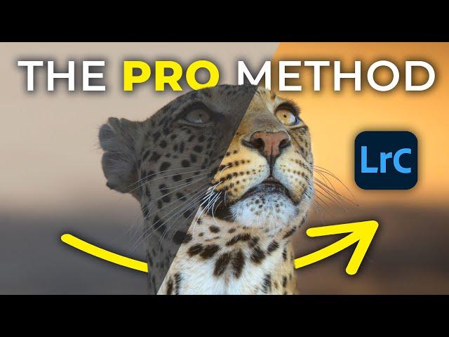 How to rescue DULL AND LIFELESS wildlife images using LIGHTROOM!