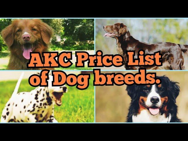 AKC Price List of Dog breeds#American Kennel Club.