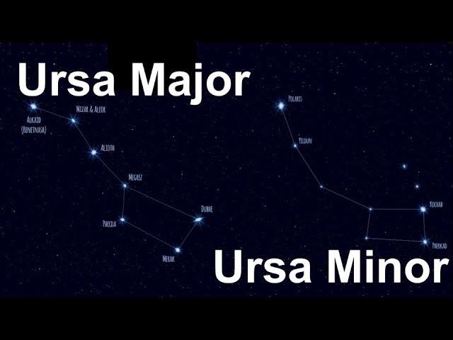 Ursa Major and Ursa Minor