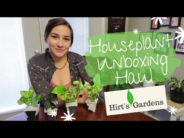 Houseplants Unboxing Haul Hirt's Gardens Online