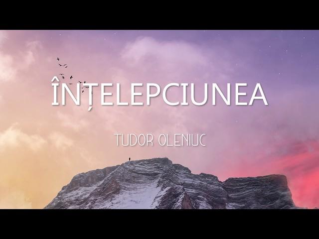 Înțelepciunea - Tudor Oleniuc (Official audio)