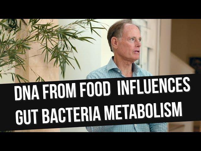 Food & Gut Bacteria Balance + Carbs & Brain Health w/ David Perlmutter, MD