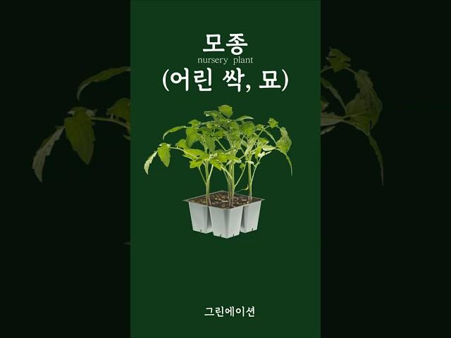 파종부터 모종까지 농업용어