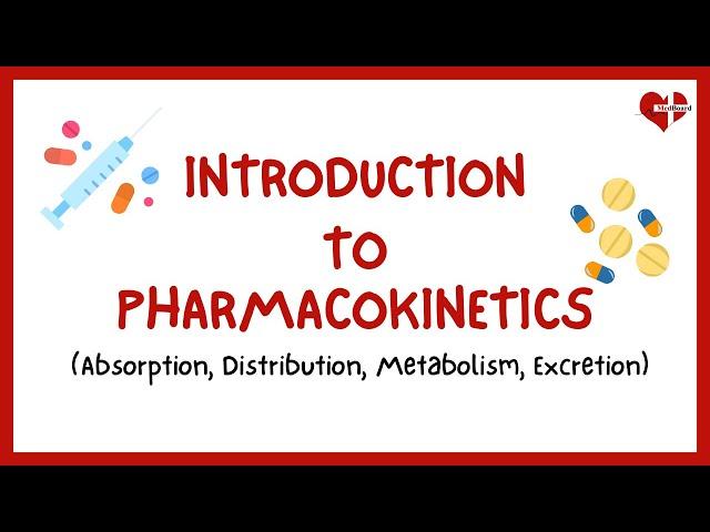What is Pharmacokinetics? | The ADME Process | Introduction to Pharmacokinetics