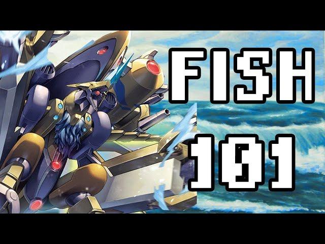 Aegisdramon/Fish 101: A Beginner's Guide To Drowning At Locals