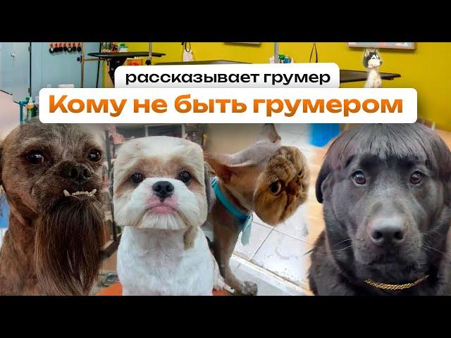 Кто не сможет стать грумером  Профессия грумер, какие навыки необходимы? Советы грумера