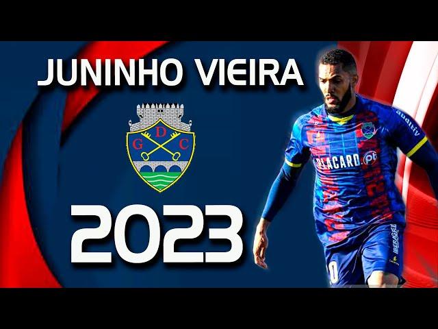 JUNINHO VIEIRA 2023