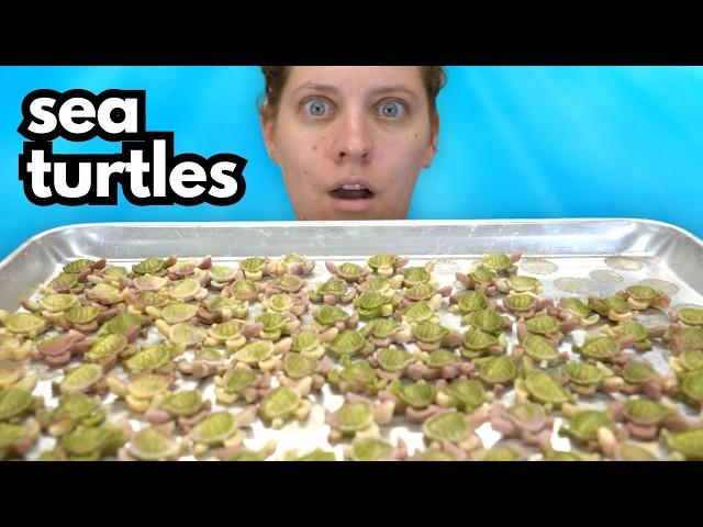 We made over 600 soap turtles for this...