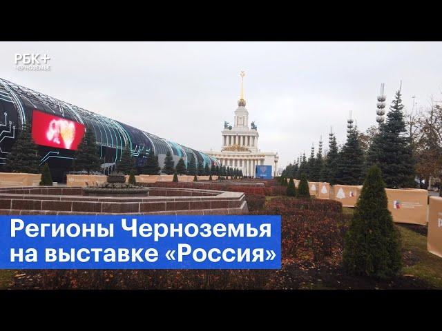Какие достижения представили регионы Черноземья на выставке «Россия»