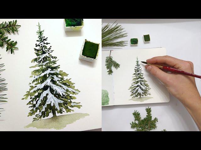 How to paint EASY Watercolour Christmas trees Watercolor art for BEGINNERS | Sketchbook Sunday #3