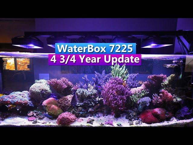 Waterbox 7225 Peninsula - 4 3/4 Year Update - Saltwater Aquarium Tank Tour