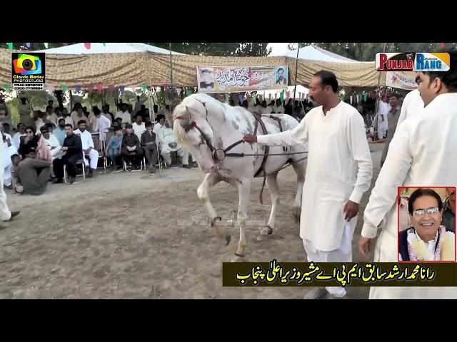 Ata e Kirmani VS Ata e Ghazi  l Horse Dance 1st October 2023 l Mehmood Pura Chak No 1 Nankana l P