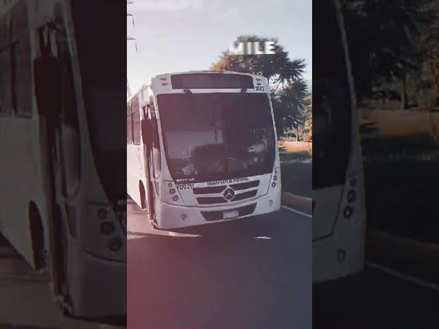 Buses Tuning Elegantes