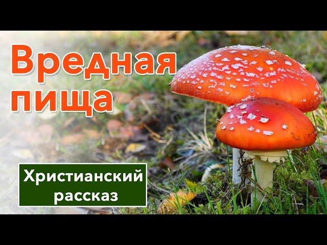  Вредная пища - ИНТЕРЕСНЫЙ ХРИСТИАНСКИЙ РАССКАЗ | Христианские рассказы