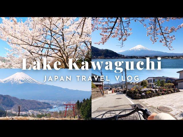   Cycling Lake Kawaguchiko |  Mt Fuji & Sakura | Japan Solo Travel | Silent Vlog