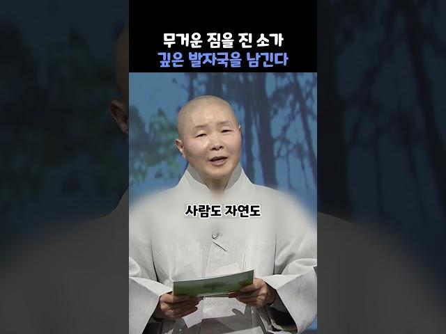 나를 더 성장케 하는 것들 #정목스님#격언#자기계발