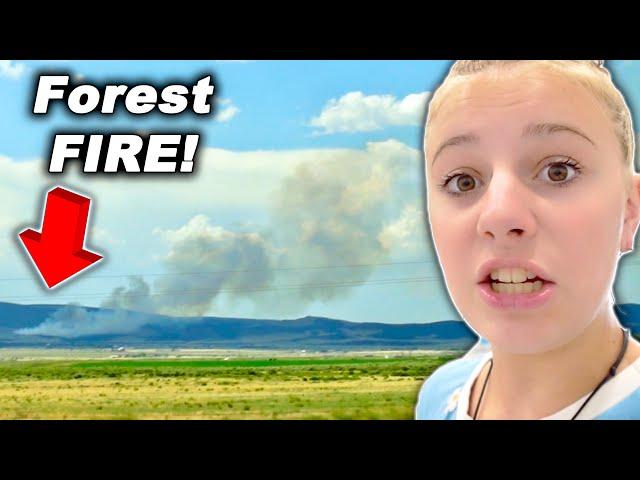 NO....Not Another Forest FIRE!