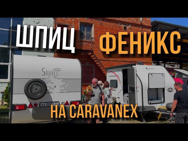 CARAVANEX глазами производителя. ФЕНИКС и ШПИЦ на выставке кемперов и автодомов 2024 г. Коломна