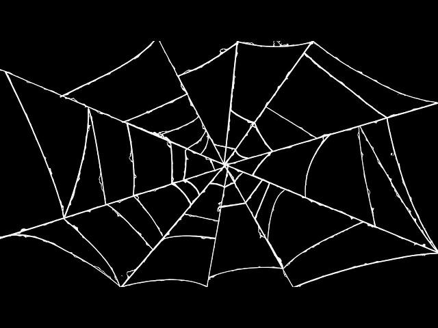 FREEBIE 3 Spider Web Animations