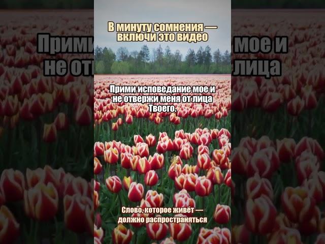 Молитва за смелость идти вперёд #смелость #путь #Божьяволя