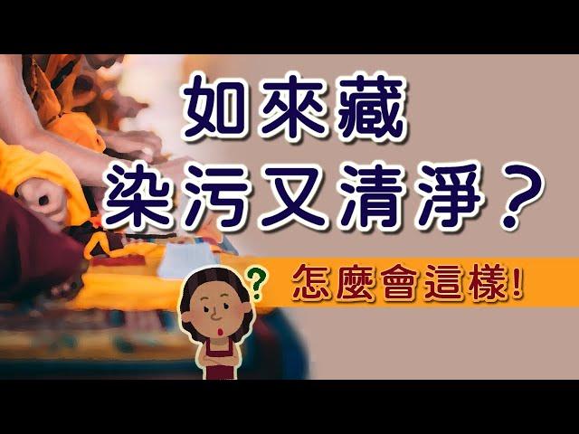 【Jonang Dharma Volunteers 覺囊志願者】如來藏 染污又清淨 怎麼會這樣啦？！