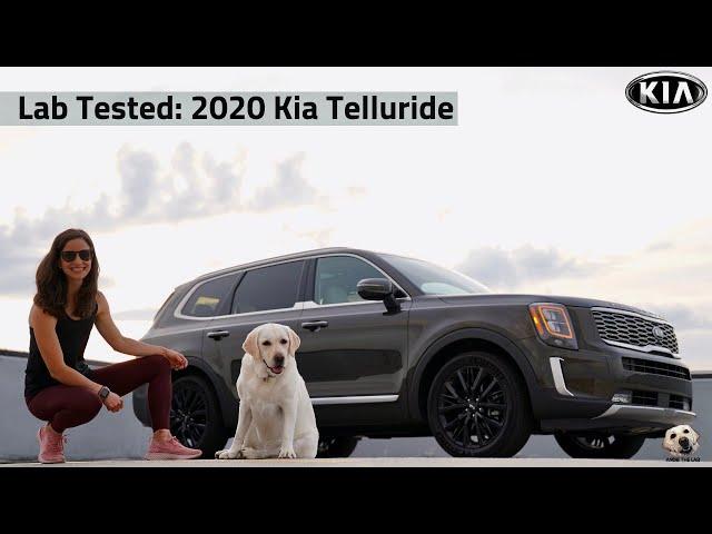 2020 Kia Telluride: Andie the Lab Review!