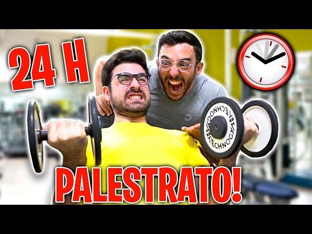 24 ORE DA PALESTRATO! w/GiampyTek *FINITO MALE*