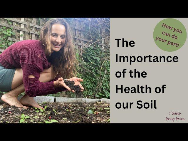 Soil Health 101 | The Things You Need to Know & How to do your part!