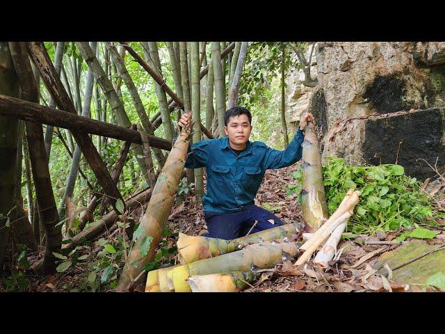 Go to the mountain to pick herbs and get a bountiful harvest -khánh/farm building